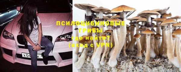 эйфоретик Переславль-Залесский